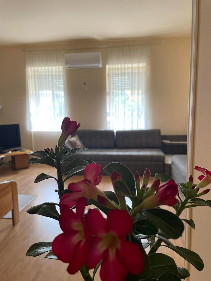 Apartament Tape Segedyn Zewnętrze zdjęcie